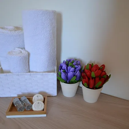 Bed and breakfast Lara Santola Corato