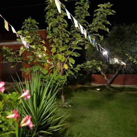 Lara Santola 3* コラート