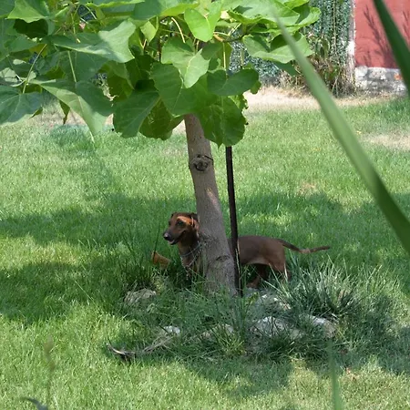 Lara Santola ベッド・アンド・ブレックファスト