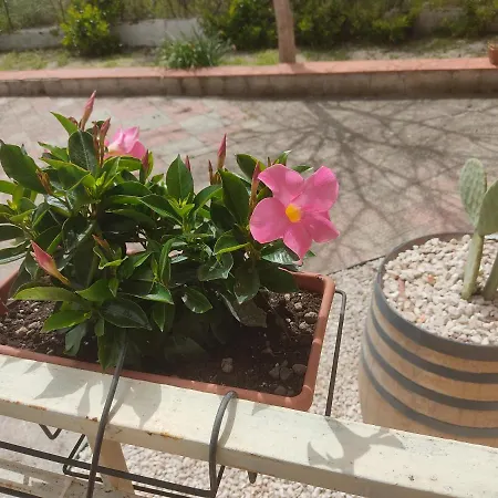 Oda ve Kahvaltı Lara Santola 3*