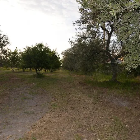 Lara Santola Oda ve Kahvaltı